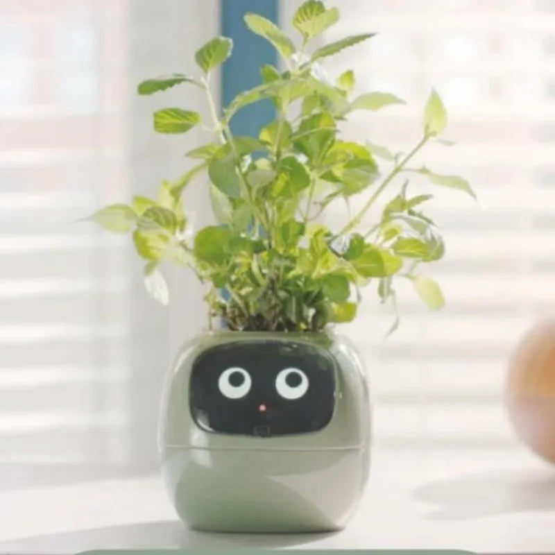 Smart Plant Ivy