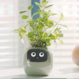 Smart Plant Ivy