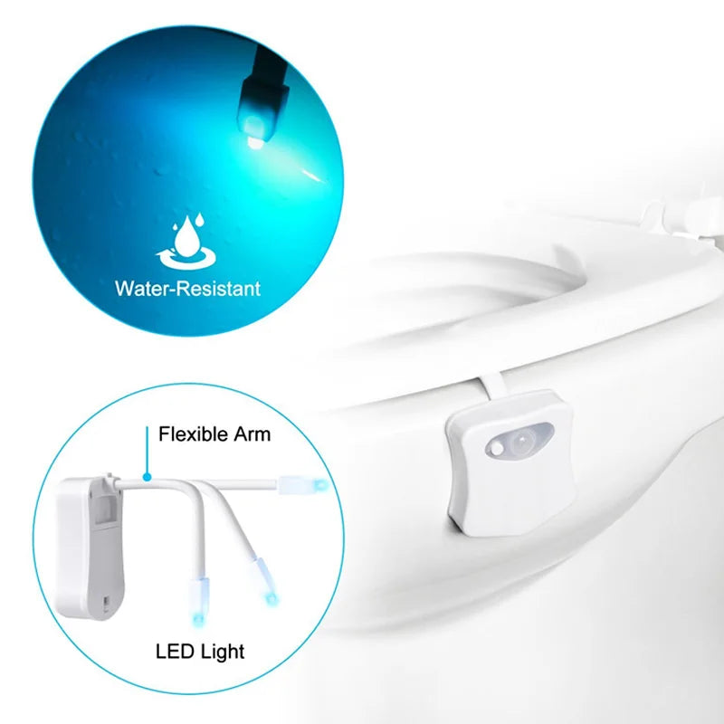 Motion Sensor Toilet Seat Backlight