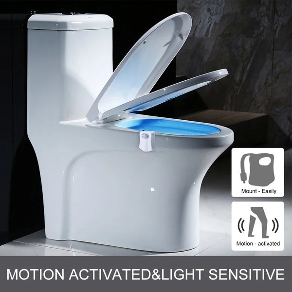 Motion Sensor Toilet Seat Backlight