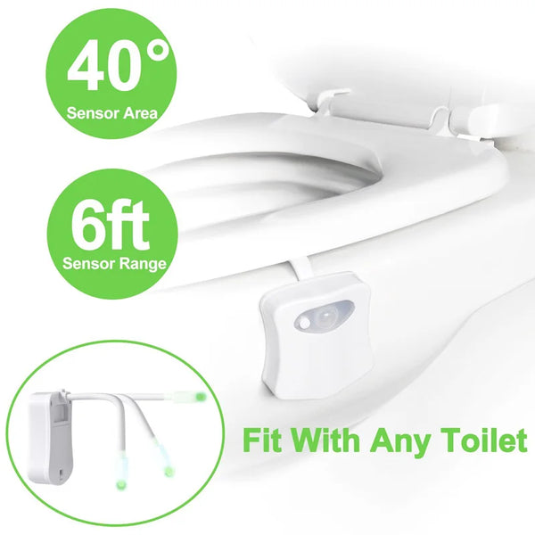 Motion Sensor Toilet Seat Backlight